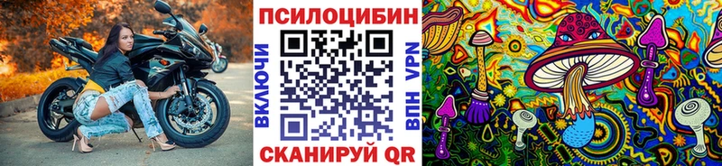 Псилоцибиновые грибы Psilocybe как найти закладки Нягань